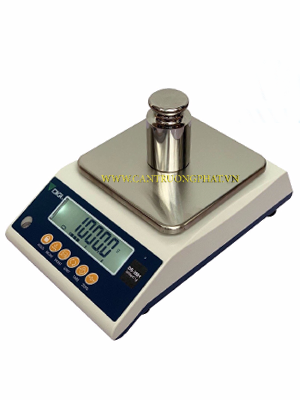 cân kỹ thuật DS3001